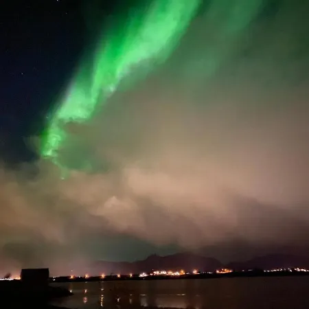 Lofothytter * Offersoya